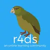 R4DS logo