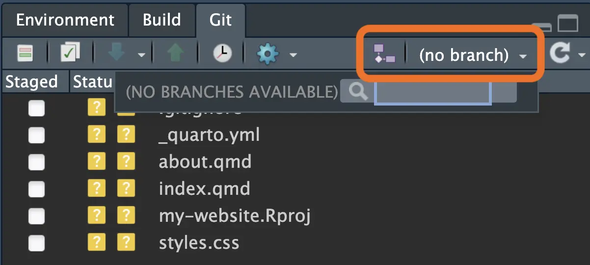 RStudio Git pane with a box around (no branch).
