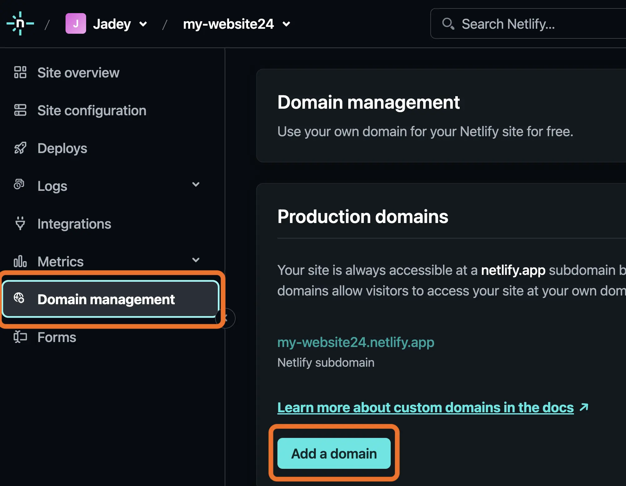 Domain management part of Netlify site with option to add a domain.
