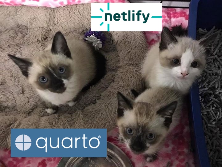 My three cats when they were wee kittens with Quarto and Netlify logos.