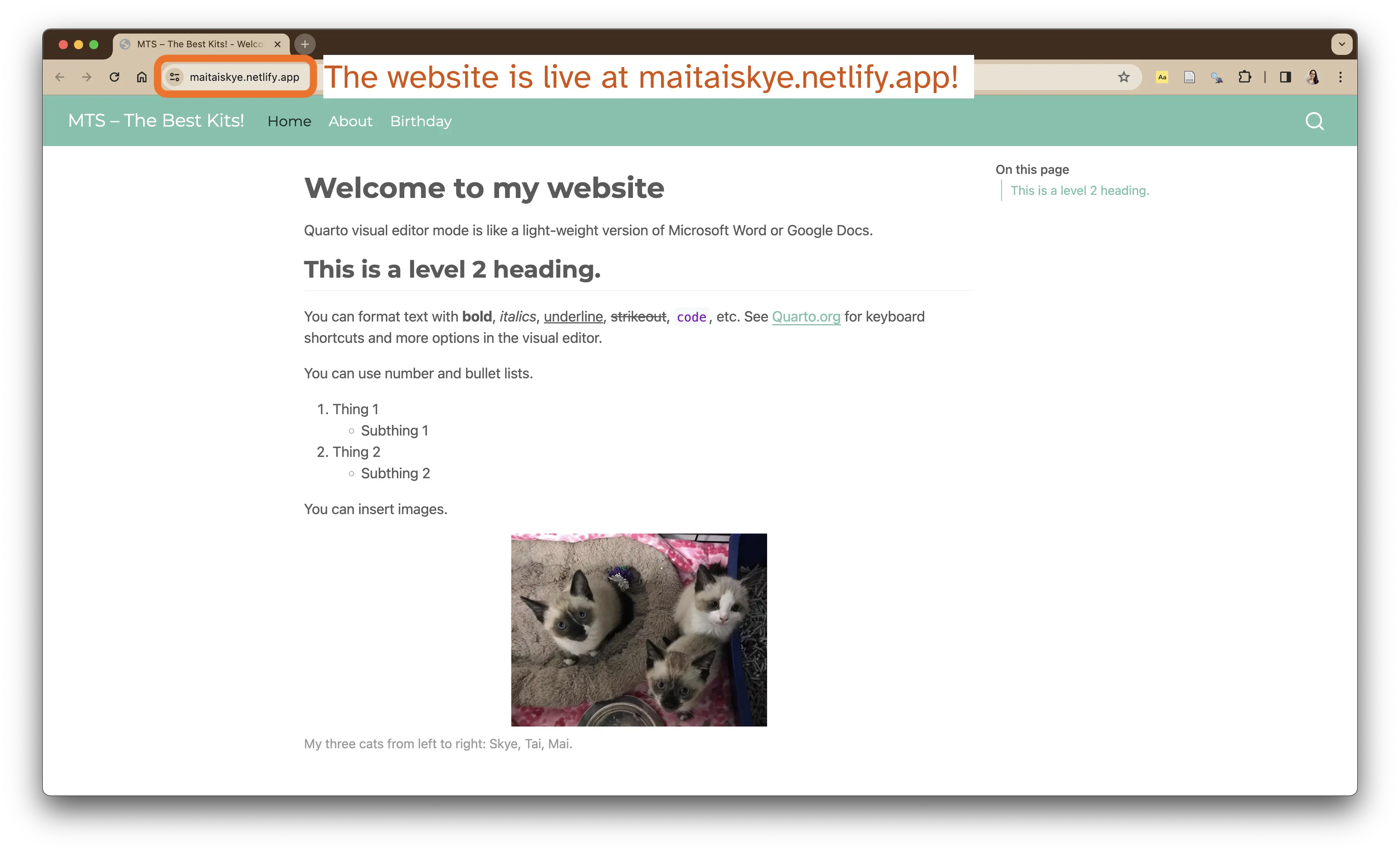 Screenshot of the demo website that lives at maitaiskye.netlify.app.