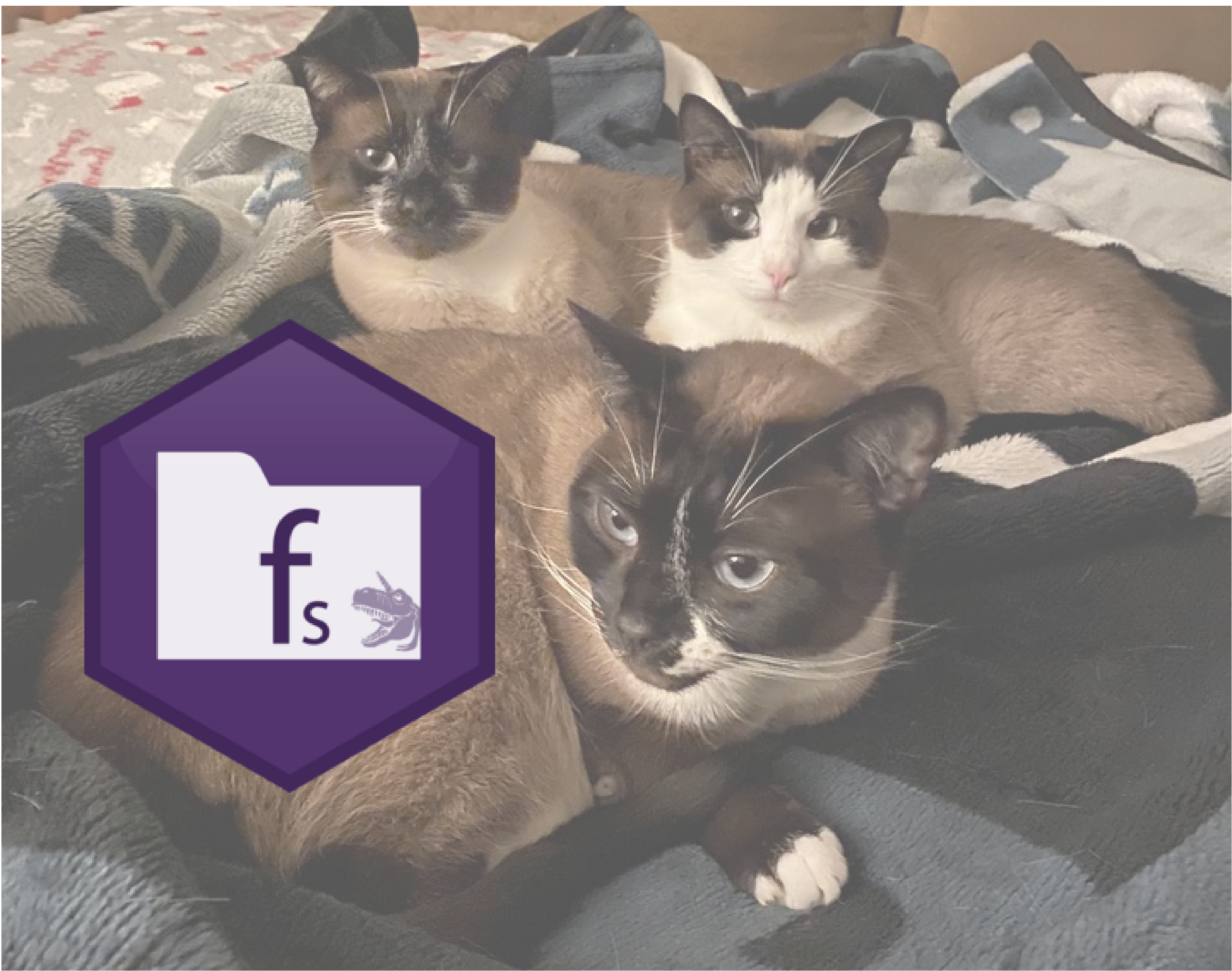 My three cats with the {fs} R package logo